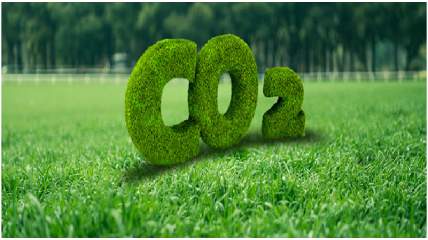 �й���9091����÷(�ɷ�)���޹�˾-�ٷ���վ